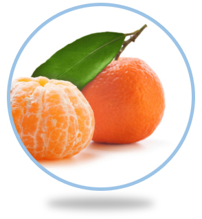 Grocery & Gourmet Food